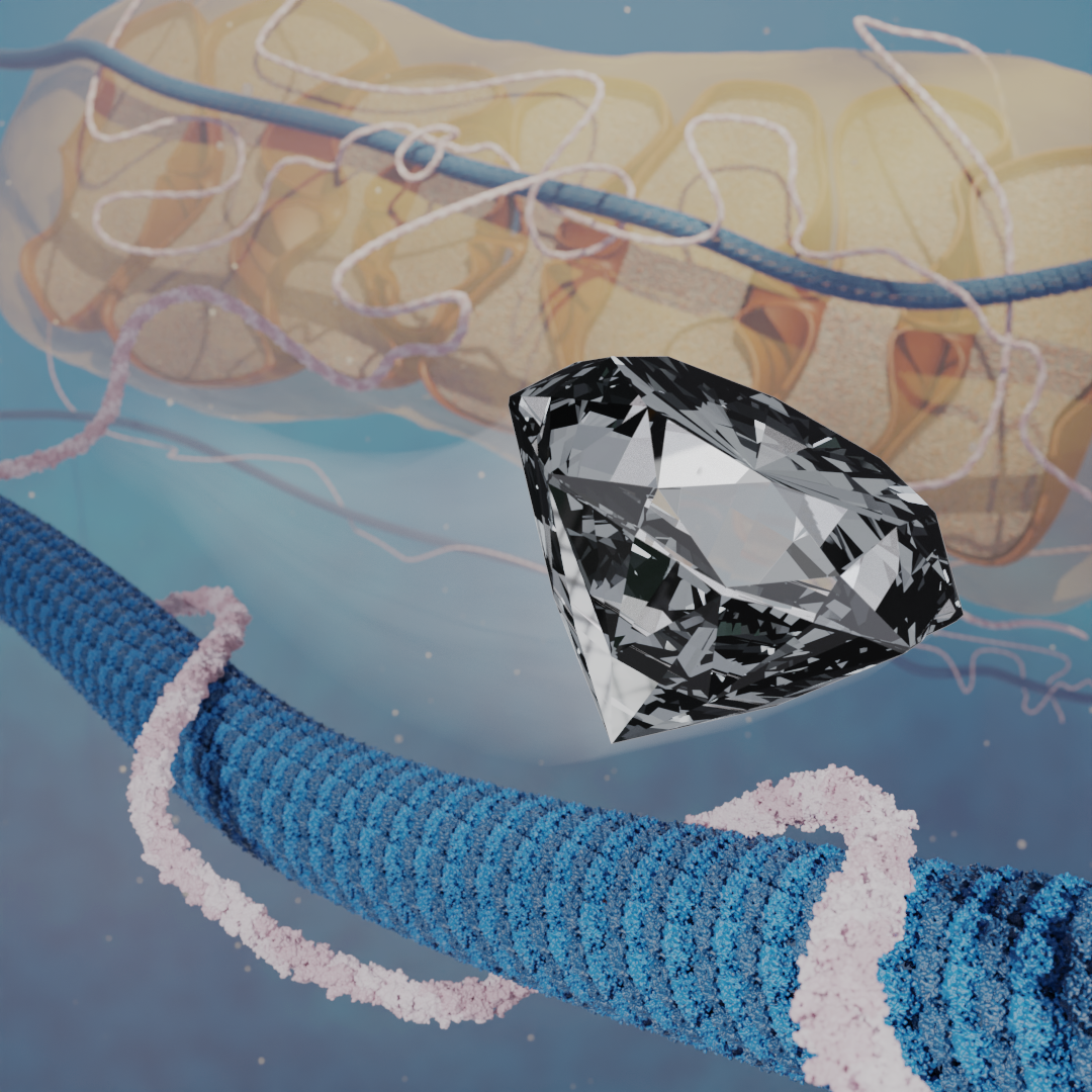 Simultaneous nanorheometry and nanothermometry using intracellular diamond quantum sensors 