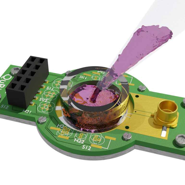 Q-BiC: A biocompatible integrated chip for in vitro and in vivo spin-based quantum sensing